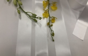 RPS-7076: 100% RECYCLED POLYESTER SATIN KHÔNG BIÊN, 1 MẶT BÓNG