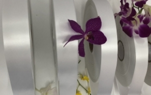 SA-7032: SELF-ADHESIVE POLYESTER SATIN