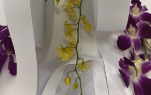 PS-6721: SEMI-DULL SATIN KHÔNG BIÊN, 2 MẶT BÓNG