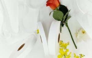 PT-2102: POLYESTER TAFFETA PHỔ THÔNG